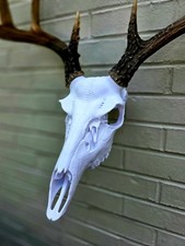 Fierce Style Bullet Anchor System Antlers Not Included picture