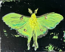Sophie Dare Original Art 8x10 Acrylic canvas Heavy Textured Luna Moth picture