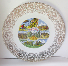 Vintage Arizona Souvenir Plate picture
