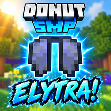 Donut SMP | Donut SMP Elytra picture
