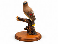 Hand Carved Wood Cedar Waxwing Bird Sculpture Wildlife Folk Art 10.5