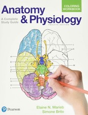 Anatomy and Physiology Coloring Workbook : A Complete Study Guide by Elaine... picture