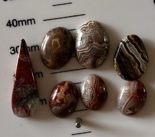Crazy Lace Collection Of Mini Cabs picture