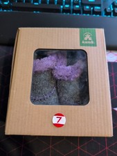 Kamik Cozy Cabin 2 Little Kids Purple, Gray picture