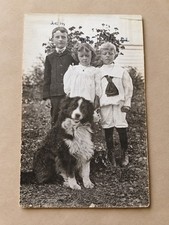 Antique 1907–1914 VELOX RPPC Children with Border Collie Dog Real Photo Postcard picture