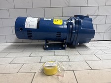 Everbilt Professional Irrigation Pump Cast Iron 2 HP Dual Voltage, HDLS20 PARTS picture