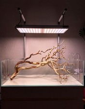 Large 28” Manzanita Driftwood Branch, Aquarium Terrarium Aquascaping,Home Decor picture