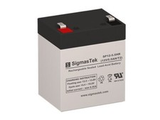 Raion Power RG1250T2 12 Volt 5 Amp Hour T2 Battery Replacement picture
