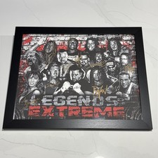ECW Autographed Print 15 x 19 Wrestling Legends Extreme Signed Framed WWE WWF picture