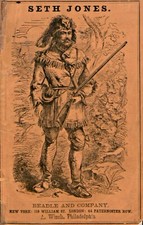 BEADLE'S DIME NOVELS Magazine 207 Select Issue Collection On USB Drive picture