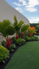 700 + garden ideas, small gardens, garden ideas for backyard, digital download picture