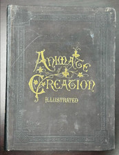 Animate Creation; Popular Edition of 