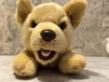 Demdaco Lift The Spirit Mixed Breed Plush Puppy  Crouched Playful Cute picture