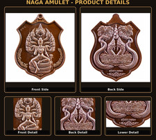 Naga God Srisuttho Kham Chanod Copper Medal Coin 2017 Thai Buddha Amulet  picture