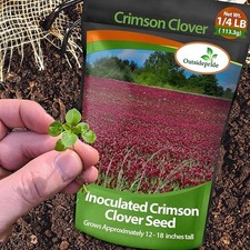 40 LBS - Inoculated Bulk Crimson Clover Seed For Planting Pastures, Cover picture