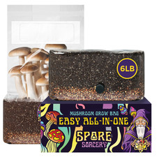 6 lb All-in-One Mushroom Grow Kit In Bag (Spores Not Included) picture