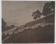 c.1890  FRANK MEADOW SUTCLIFFE GLAISDALE, SIGNED PRINT picture