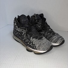 LeBron 17 