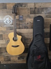 BREEDLOVE AC250 SM-12 Electric Acoustic W/ Bag picture