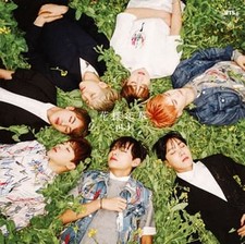 BTS Bangtan Boys Hwayangyeonhwa Pt.1 CD+DVD Japan Used Japan picture