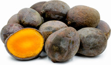 Very Rare  Black Kosturi Mango /black mango/ -3 cuttings, fresh picture