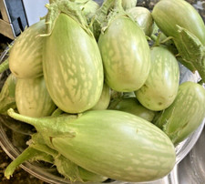 30 Indian Green Eggplant Fresh Organic  seeds ~ Eggplant Seeds for 2026. picture