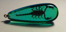 1970's Green Lucite Taxidermy Scorpion Pendant  - California Prison Art picture