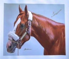 CALIFORNIA CHROME VICTOR ESPINOZA SIGNED PRINT POSTER CANVAS 20X24 HORSE RACING picture