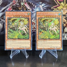 Shiina, Twin Tempests of Celestial Thunder BPRO-EN027 1st Ed x2 EN Yu-Gi-Oh picture
