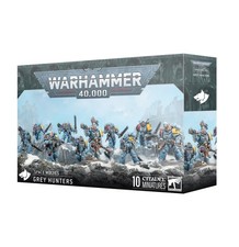 Space Wolves: Grey Hunters Warhammer 40K picture