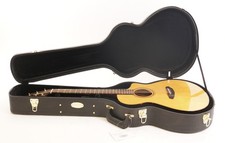 Breedlove Performer Pro Concert Thinline CE Indian Rosewood Acoustic Guitar picture