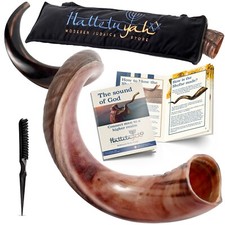 HalleluYAH Original Kosher Half-Polished Kudu Shofar From Israel picture