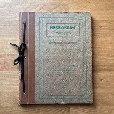 Antique Herbarium Monarch Series Botanical Specimens c1917 Form 571, Form 576 picture
