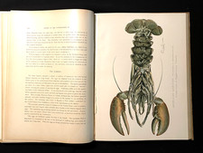Antique Fishing Books 1899 Adirondacks New York Illustrated Hunting Color Plates picture