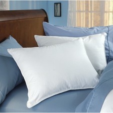 Set of 2 Classic Down Dreams Pillows found in Hilton Hotels picture