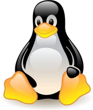 This Linux Tux vinyl sticker is a must-have 3.5