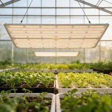 150W/200W/300W/400W/600W LED Grow Light Dimmable Full Spectrum Indoor Plant picture