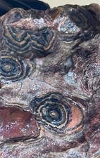 Flowering Tube Onyx Rough Very RARE 2.3LBS picture