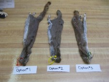 Canadian Red Squirrel Tanned Fur  - Craft - Red Tag picture