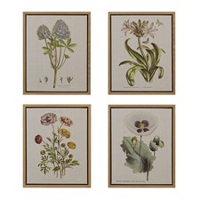 4pc Herbal Botany Framed Linen Canvas Green - Martha Stewart picture