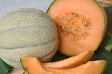 50 Heirloom Jumbo Iroquois Cantaloupe Seeds - Gigantic 7-8LB Super Sweet Melon picture