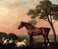 Stubbs, George - A Bay Hunter With Two Spaniels picture