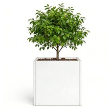 Large Outdoor Planter 32