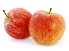 Fresh Gala Apples (4 LBS)  The Actual Fruit picture