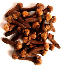 Cloves Whole Wildcrafted Fresh Harvest ~ Syzygium Aromaticum ~ Premium USA picture
