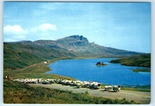 Sheep-droving at Loch Fada ISLE OF SKYE SCOTLAND UK 4x6 Postcard picture