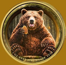 2026 Liberia Bear $20 Silver 999 Coin Bear Butterfly Color Gold Gilded WWF RARE picture