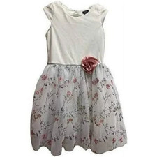 Zunie Girls Boutique Dress Floral Shimmering Tulle (Ivory/Blush/Silver, 8)NWT picture