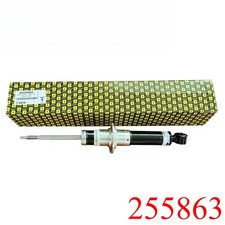 NEW Front Shock Absorber 255863 For Ferrari 458 picture
