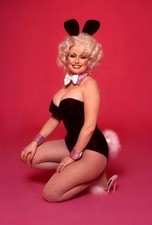 DOLLY PARTON SEXY AND CLASSY COUNTRY SINGER  Poster 13x19 inches   #13 picture